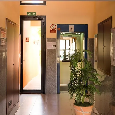 El Cabezo Medano 1ª Linea * El Médano